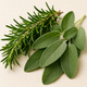 Rosemary & Sage